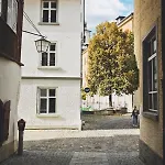 Blaue Rose -digital Check In- Hotel Feldkirch