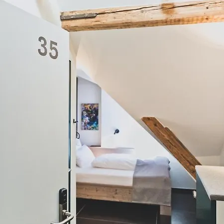 Blaue Rose -digital Check In-