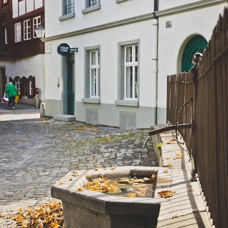 Blaue Rose -digital Check In- Hotel 3*