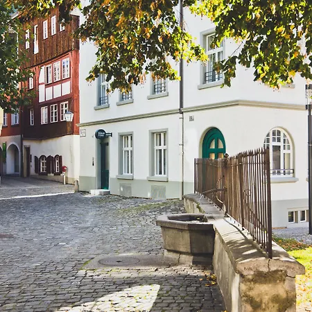 Blaue Rose -digital Check In-