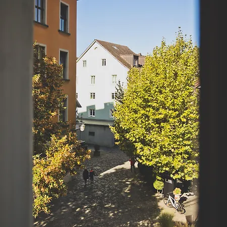 Blaue Rose -digital Check In-