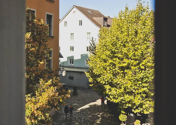 Blaue Rose -digital Check In-